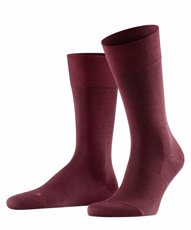 Sensitive Berlin Burgundy Sensitive Berlin Burgundy