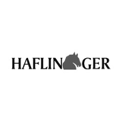 haflinger